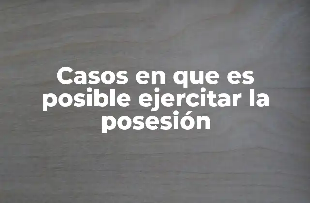 Casos en que es Posible Ejercitar la Posesión