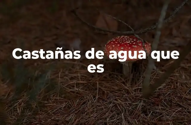 Castañas de Agua que es