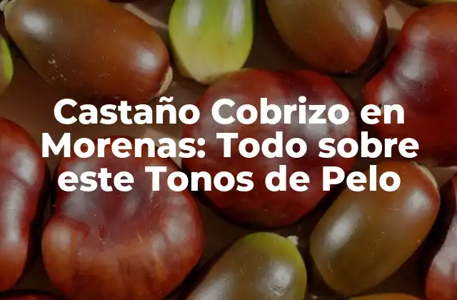 Castaño Cobrizo en Morenas: Todo sobre Este Tonos de Pelo