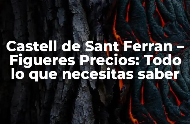 Historia del Castell de Sant Ferran