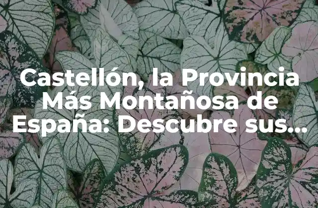 Castellón, la Provincia Más Montañosa de España: Descubre Sus Secretos