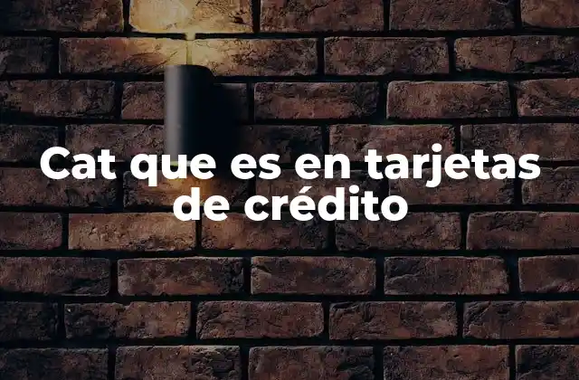Cat que es en Tarjetas de Crédito 2 La importancia del CAT en la toma de decisiones financieras