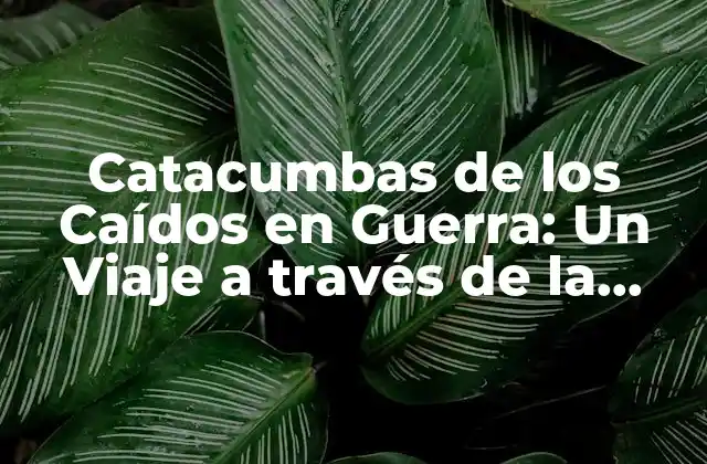 Catacumbas de los Caídos en Guerra: un Viaje a Través de la Historia