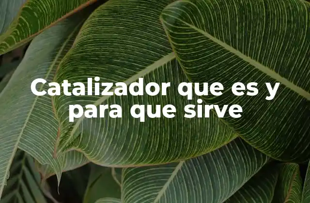 Catalizador que es y para que Sirve
