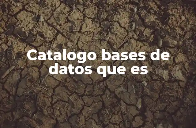 Catalogo Bases de Datos que es