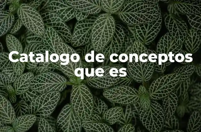 La importancia de estructurar ideas mediante un catálogo conceptual