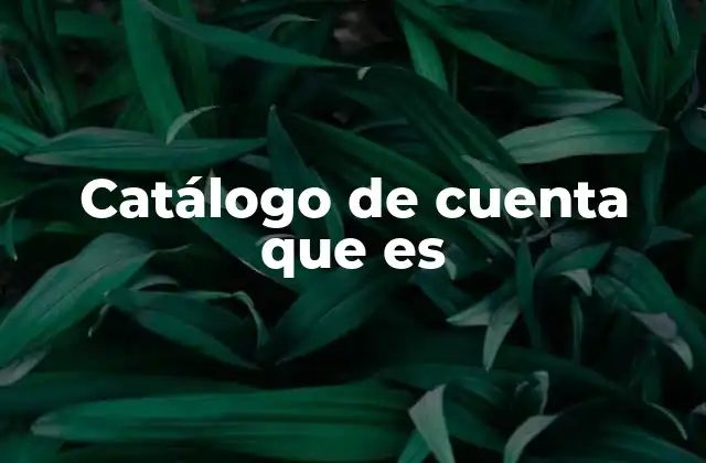 Catálogo de Cuenta que es