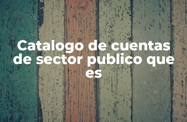 Catalogo de Cuentas de Sector Publico que es
