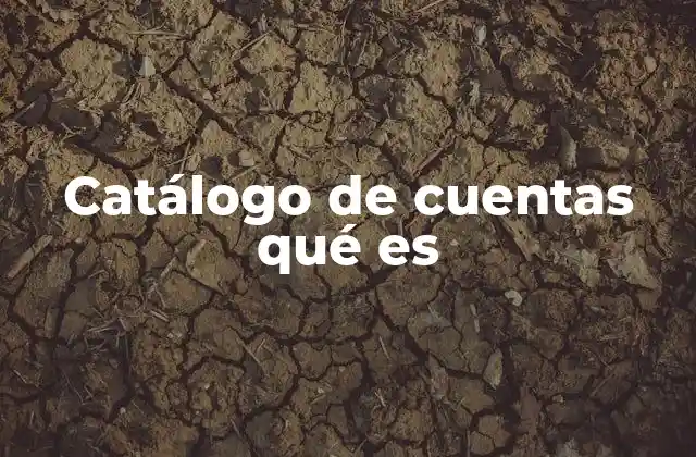 Catálogo de Cuentas Qué es