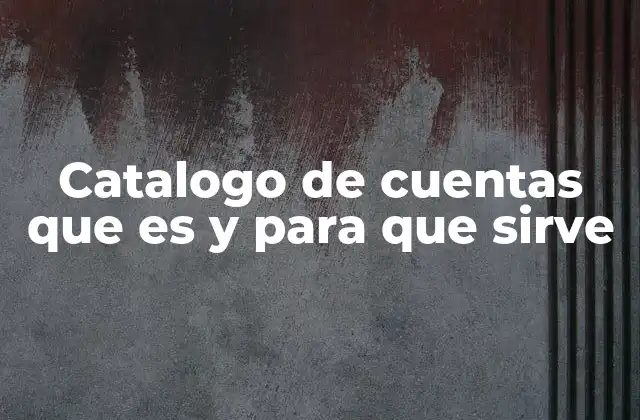 Catalogo de Cuentas que es y para que Sirve 2 Cómo se estructura el catálogo de cuentas
