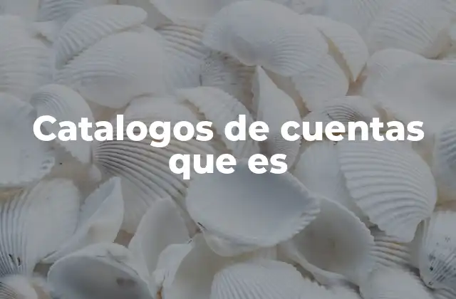 Catalogos de Cuentas que es 2 La base estructurada de la contabilidad