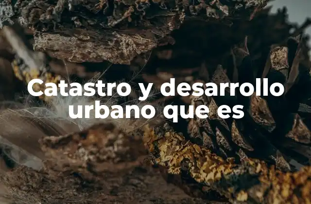Catastro y Desarrollo Urbano que es