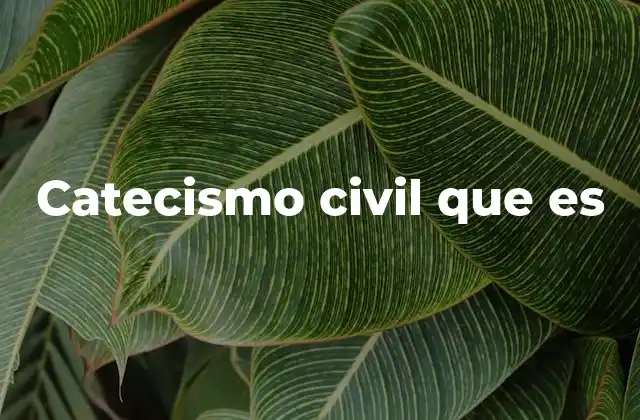 Catecismo Civil que es