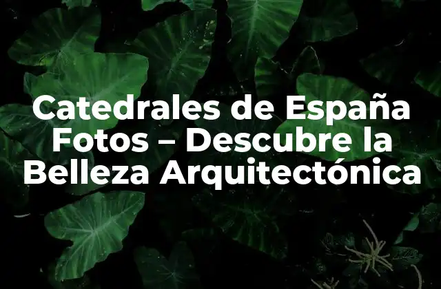 Catedrales de España Fotos – Descubre la Belleza Arquitectónica