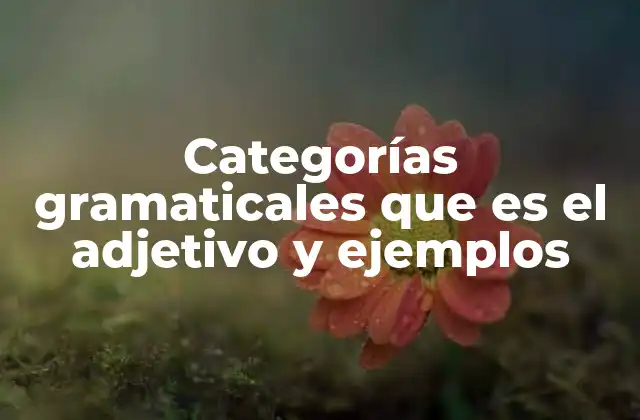 Categorías Gramaticales que es el Adjetivo y Ejemplos