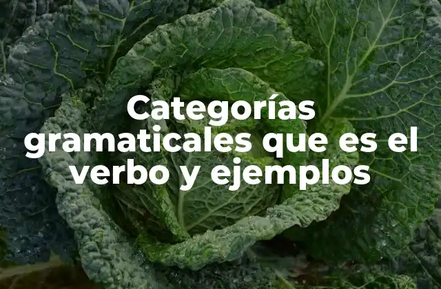 Categorías Gramaticales que es el Verbo y Ejemplos