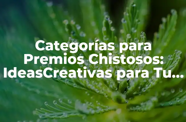 Categorías para Premios Chistosos: Ideascreativas para Tu Evento