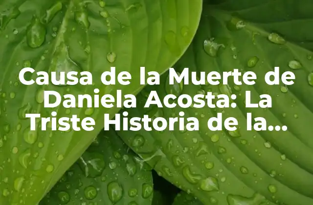 Causa de la Muerte de Daniela Acosta: la Triste Historia de la Modelo Colombiana
