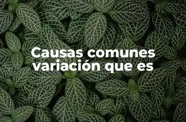 Causas Comunes Variación que es