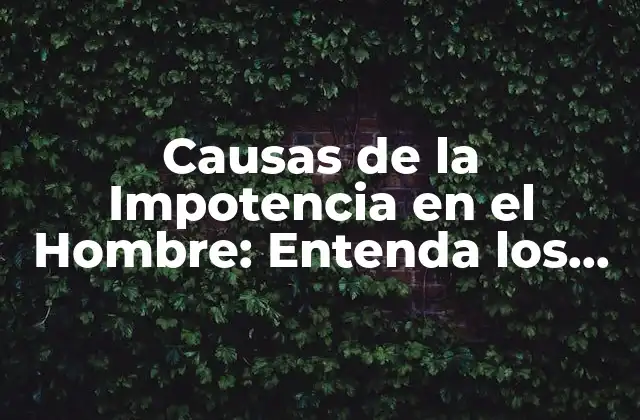 Causas de la Impotencia en el Hombre: Entenda los Factores que la Provocan