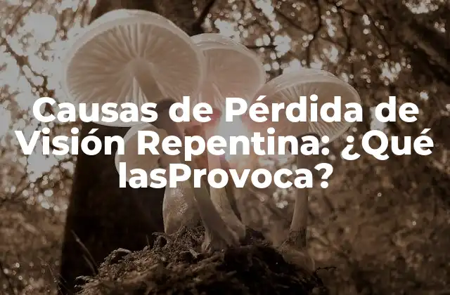 Causas de Pérdida de Visión Repentina: ¿qué Lasprovoca?