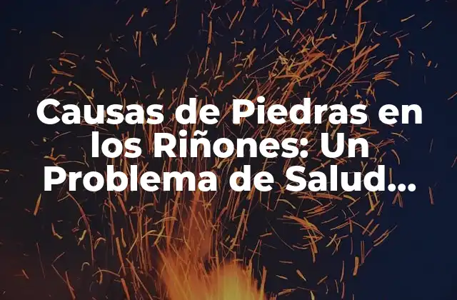 Causas de Piedras en los Riñones: un Problema de Salud Común