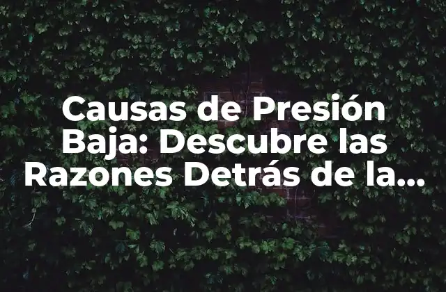 Causas de Presión Baja: Descubre las Razones Detrás de la Hipotensión