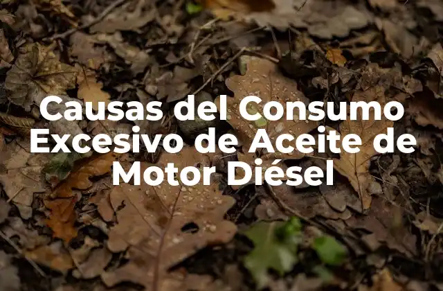 Causas Del Consumo Excesivo de Aceite de Motor Diésel
