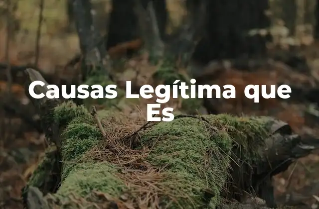 El papel de las causas legítimas en el sistema jurídico