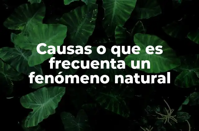 Causas o que es Frecuenta un Fenómeno Natural