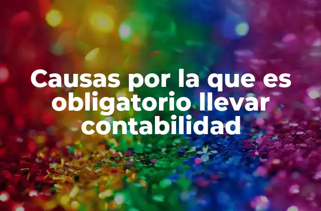 Causas por la que es Obligatorio Llevar Contabilidad