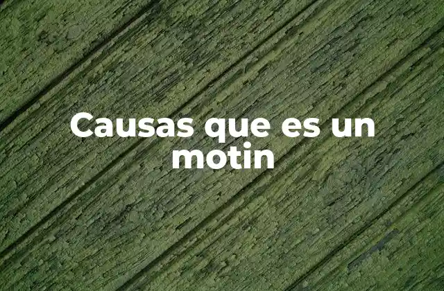 Causas que es un Motin