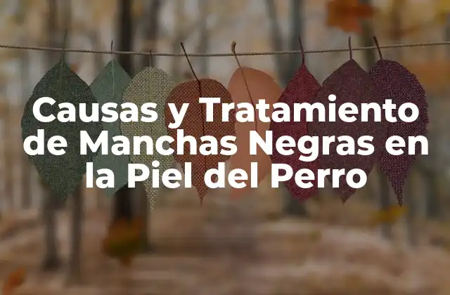 Causas y Tratamiento de Manchas Negras en la Piel Del Perro
