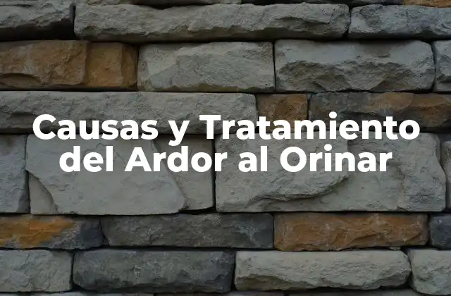 Causas del Ardor al Orinar