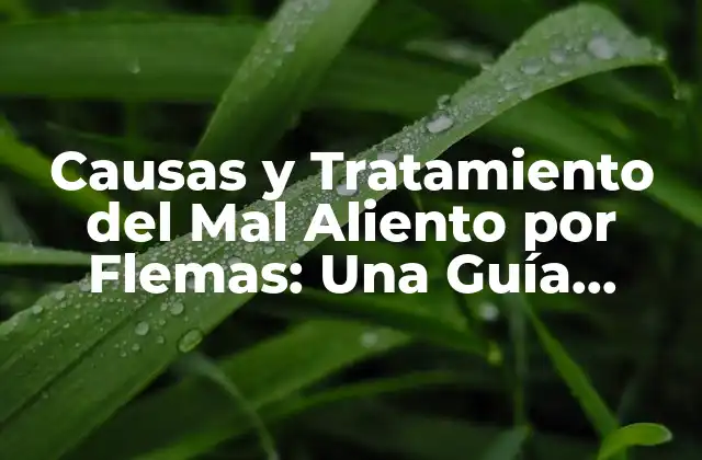 Causas y Tratamiento Del Mal Aliento por Flemas: una Guía Completa