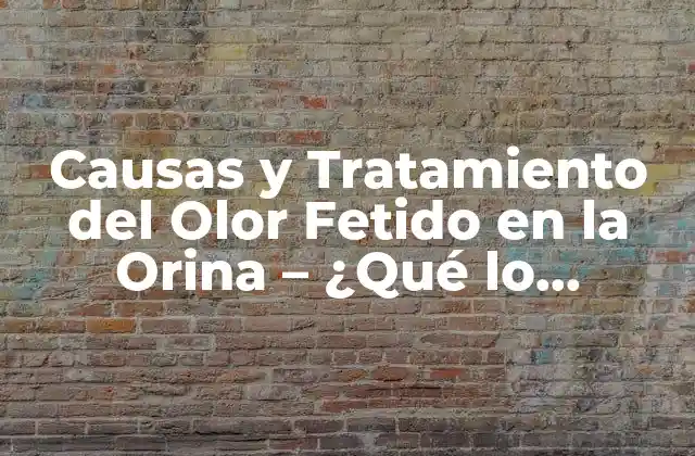 Causas y Tratamiento Del Olor Fetido en la Orina – ¿qué Lo Provoca?