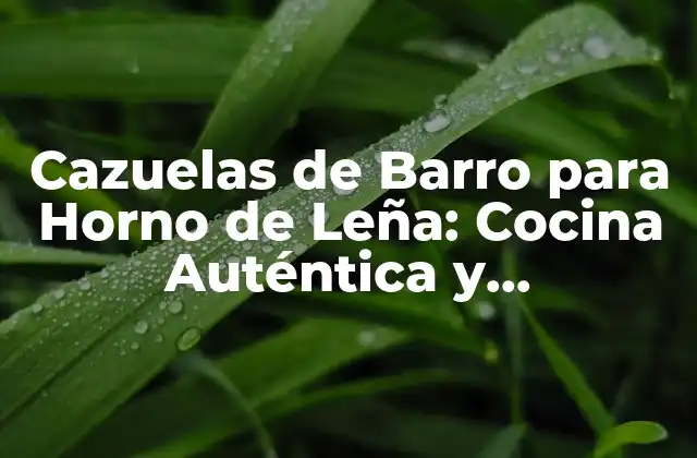 Cazuelas de Barro para Horno de Leña: Cocina Auténtica y Sustentable