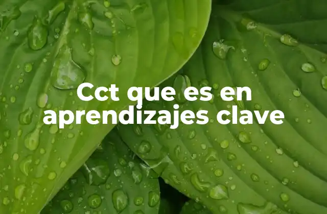 Cct que es en Aprendizajes Clave
