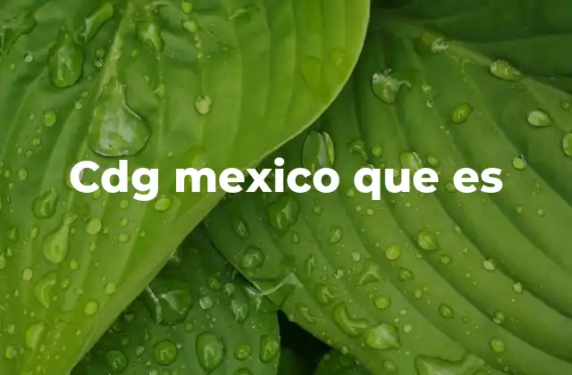 El papel de los centros de distribución en México