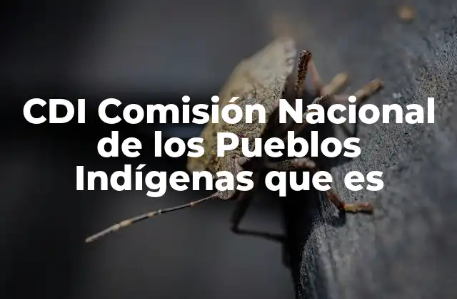 Cdi Comisión Nacional de los Pueblos Indígenas que es