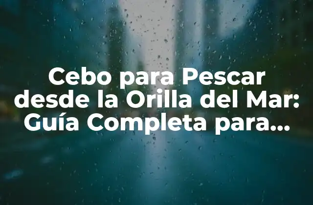 Cebo para Pescar desde la Orilla Del Mar: Guía Completa para Atrapar el Pez Soñado