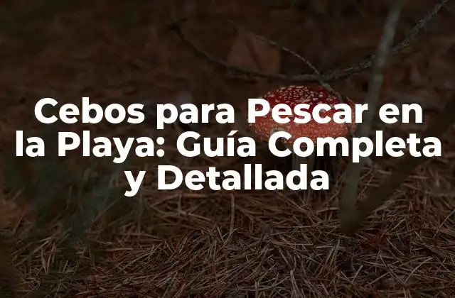 Cebos para Pescar en la Playa: Guía Completa y Detallada