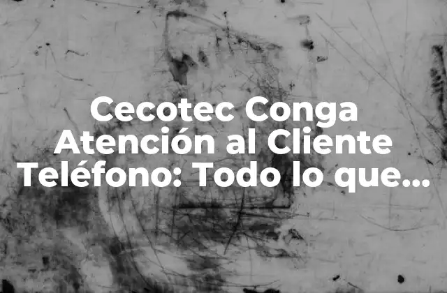 ¿Qué es Cecotec Conga y cómo Funciona?