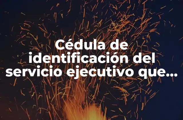 Cédula de Identificación Del Servicio Ejecutivo que es 2 La importancia de un documento de identidad para funcionarios públicos