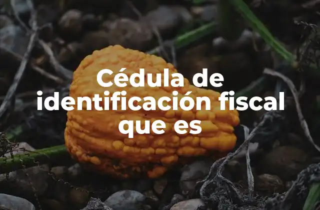 Cédula de Identificación Fiscal que es