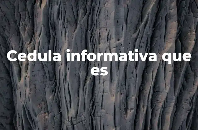 La importancia de las cédulas informativas en la organización de datos