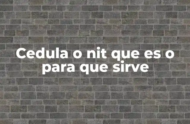 Identificadores legales en el entorno económico y social