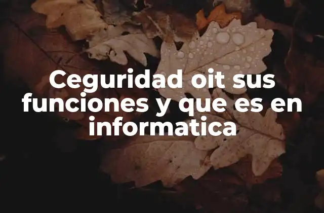 Ceguridad Oit Sus Funciones y que es en Informatica