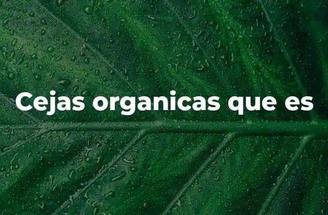 Cejas Organicas que es 2 El auge del cuidado facial natural y sostenible