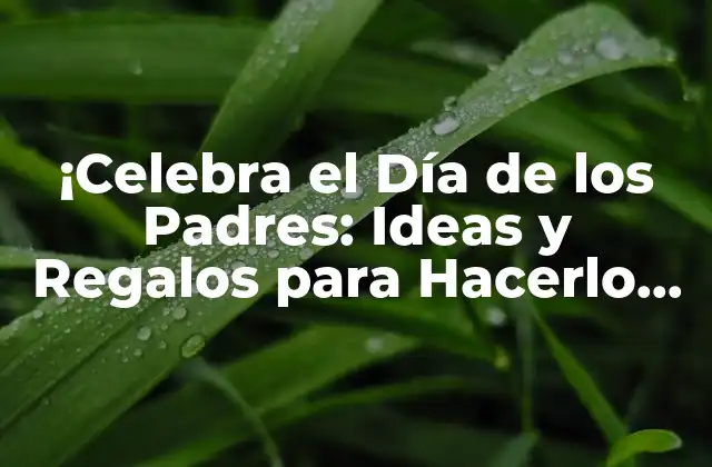 ¡celebra el Día de los Padres: Ideas y Regalos para Hacerlo una Fecha Inolvidable!